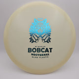 Nocturnal Bobcat